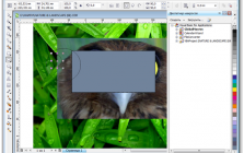 Coreldraw удалить фон с растрового изображения